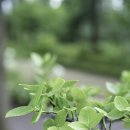 아네프의원 이미지