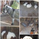 귀동농장 이미지