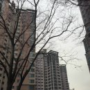 우림카인테리어 이미지