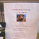 팝콘팔라트 이미지