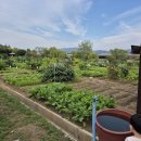 은진농장 이미지