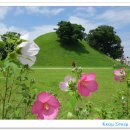 꿈나무도서관 이미지