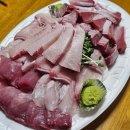 강서구-62 | 강서수산시장 회 맛집 유진유통 | 푸짐한 제철 모둠회 N번째 내돈내산 후기