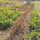 (주)벽제 이미지