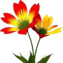 Love Is All Around / Chamras Saewataporn 이미지