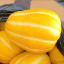 농민농약사 이미지