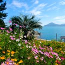 바람의언덕 이미지