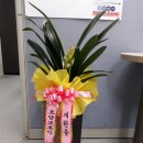 마음모아요양보호사교육원