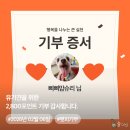 본말감자탕 고강시장점 | #일상기록# 2026년 2월 1-3주차
