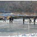 부강축산(주)