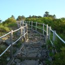 추천 (시간 되는분 다녀오세요 .) 이미지