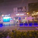 청정세꼬시 | 강릉 세인트존스 호텔 맛집 강문주막 애견 동반 가능한 물회 맛집 후기