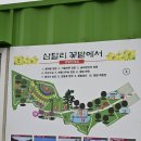 꽃밭 | 제주 동백 명소 삼달리 꽃밭에서 후기｜입장료·운영시간·카페 가격 솔직 리뷰