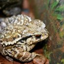 두꺼비 한의원 이미지