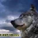 늑대 이미지
