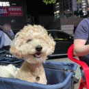 술통왕국 이미지
