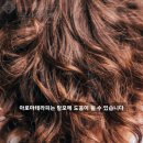 정우한의원 이미지