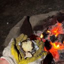 봉명고라데이영농조합법인 이미지