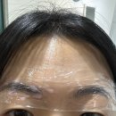 강서푸른터 | 강서구 눈썹 문신 잘하는 곳 댄디 뷰티 아카데미 자연눈썹 후기