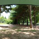 호식이짬뽕 이미지