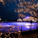 그랜드하얏트서울 이미지