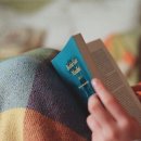 성은자원 이미지