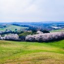 웰빙한우 이미지