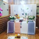 미가복어 이미지