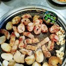 조선도야지 이미지