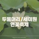 연꽃불교마을 | 7월 가볼만한 곳 | 두물머리 세미원 연꽃축제, 두물머리연핫도그