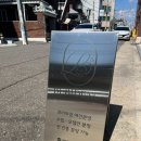 베비댕 | 대구수성구애견 '베비댕' 강아지 천사 만나기
