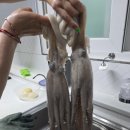 중앙고무 - 춘천시 명동길 35-1 | (경남 통영) 중앙시장 다녀온 후기입니다