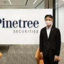 소나무파인트리(PINE TREE) 이미지