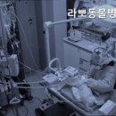 라뽀동물병원 이미지