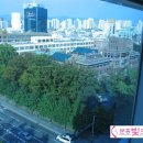 분홍빛으로병원 이미지