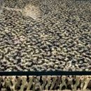 숙명여자고등학교 | 국립현대미술관 서울- [김창열 회고전] / [현대미술 하이라이트]