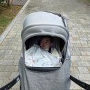 문점공원 이미지