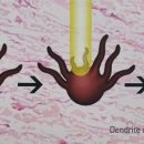 서울홍피부과의원 이미지