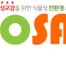 에코세이브