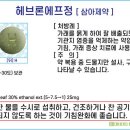 헤브론팜 이미지