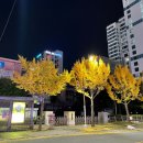 부산광역시립부전도서관 | 부산 토박이, 서면 전포에서 길잃고 어쩌다 동네여행과 추억 속 부전도서관(수정)