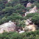 서울신우초등학교 이미지