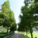 용정삼거리 인근 이미지