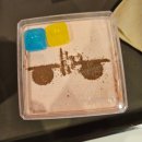 더락PC카페 | 애니메이트 봇치더락 콜라보카페 다녀온 후기