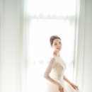 데이바이데이 이미지