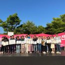 그린식품 이미지