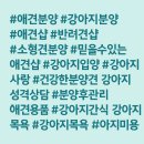 대운 동물병원 | 🐶 애견샵 &amp; 애견분양업 사업계획서