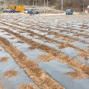 방하디딜방아 이미지