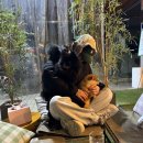 와들스 케이크 이미지