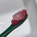 치주질환에 효과적인 에이카랩스 고불소(코뿔소) 치약 사용 후 리뷰.